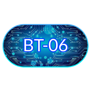 BT06
