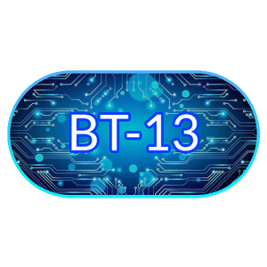 BT13