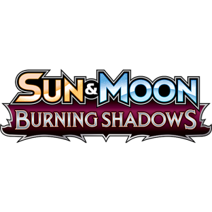 Burning Shadows