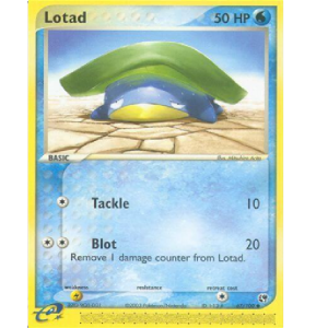 (TCG) – Lotad – 67/100